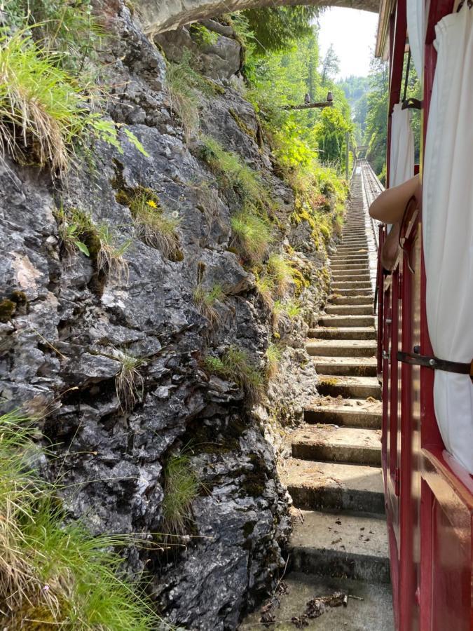 Charmant Chalet Mit See Und Bergsicht Hofstetten bei Brienz Экстерьер фото